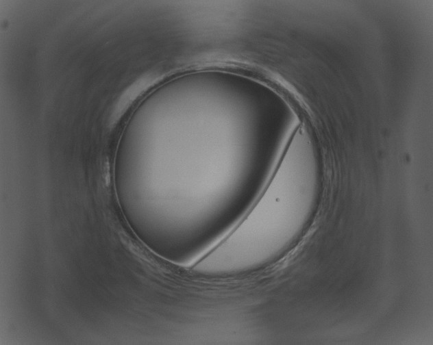 X0000074291461200608250915