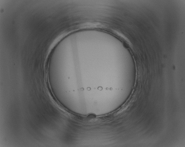 X0000074291467200608250915