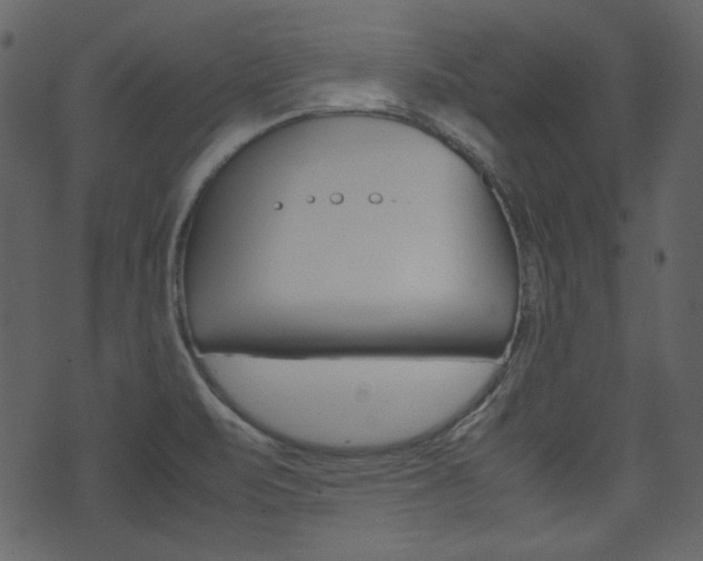 X0000074291471200608250915
