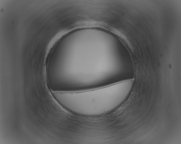 X0000074291472200608250915