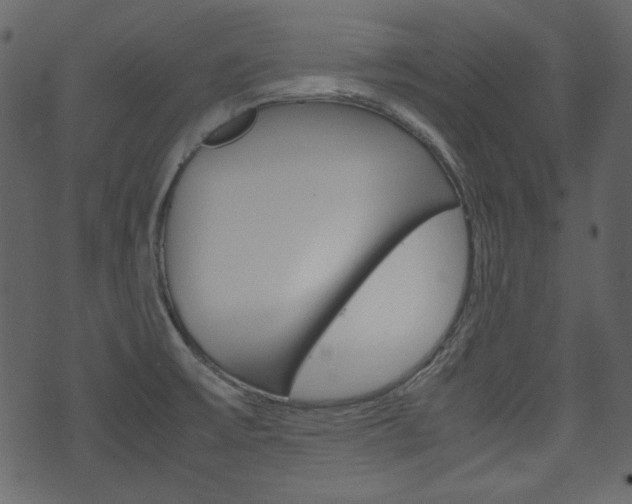 X0000074291475200608250915