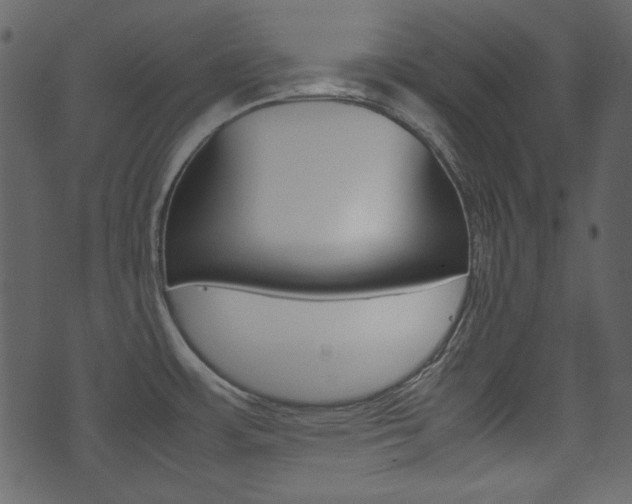 X0000074291483200608250915