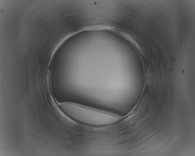 X0000074291484200608250915
