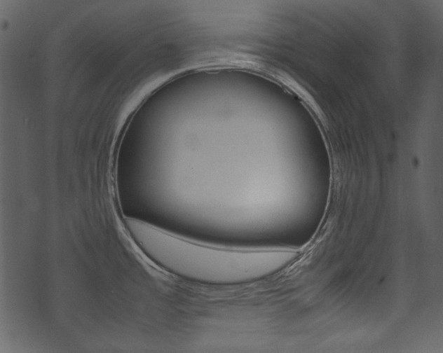 X0000074291485200608250915