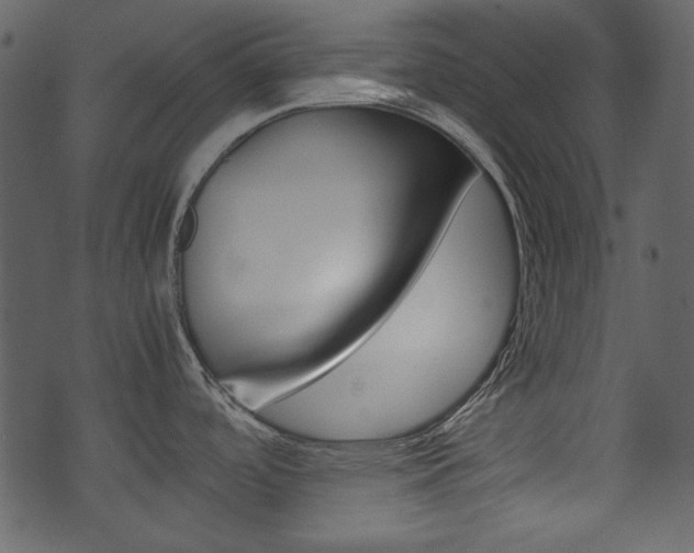 X0000074291488200608250914