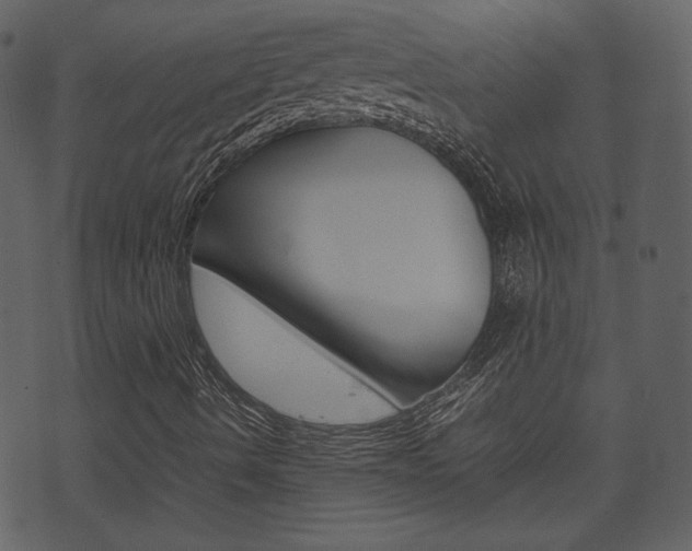X0000074291490200608250914
