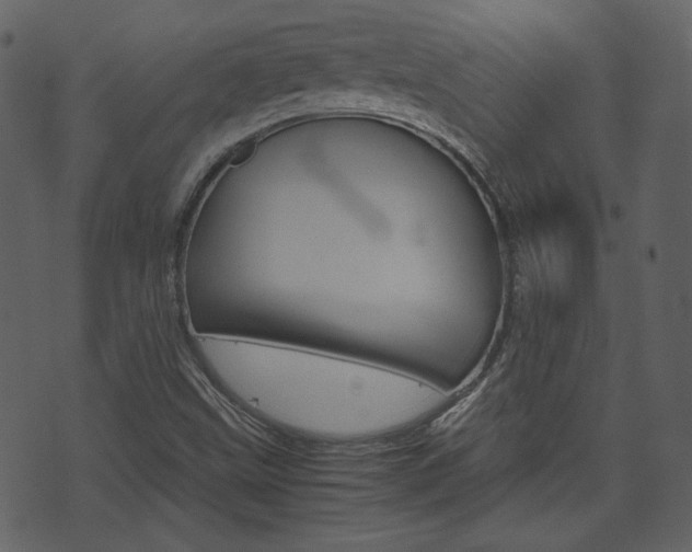 X0000074291499200608250914