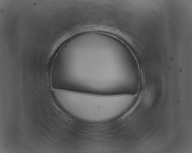 X0000074291501200608250914