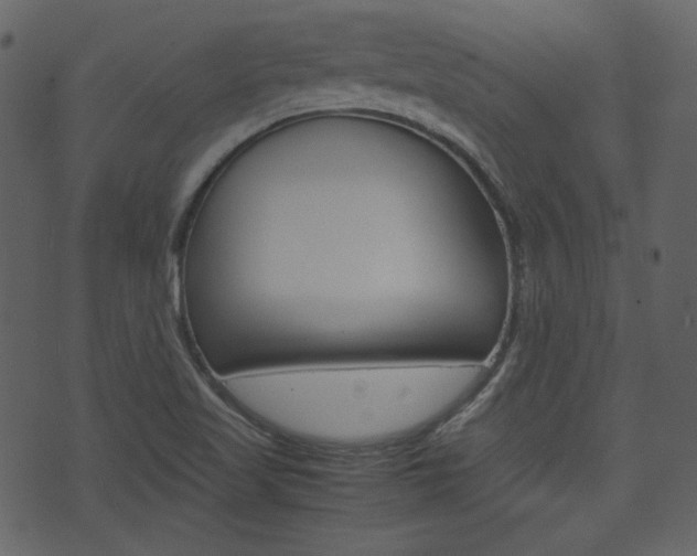 X0000074291509200608250914