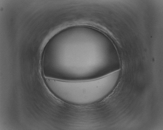 X0000074291512200608250914