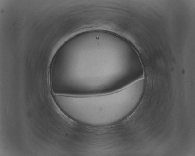 X0000074291516200608250914
