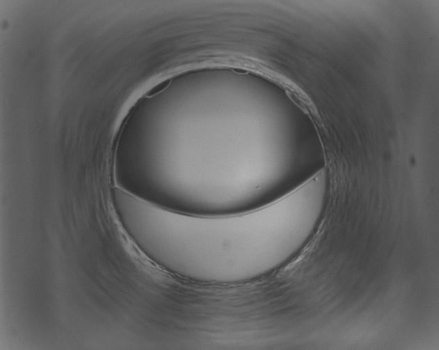X0000074291530200608250914