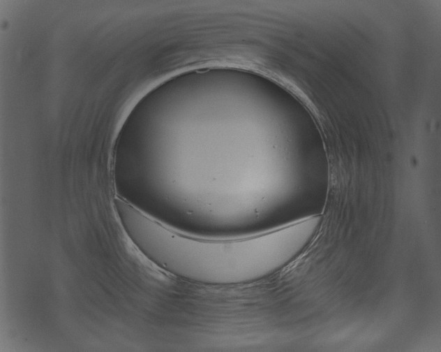 X0000074291532200608250914