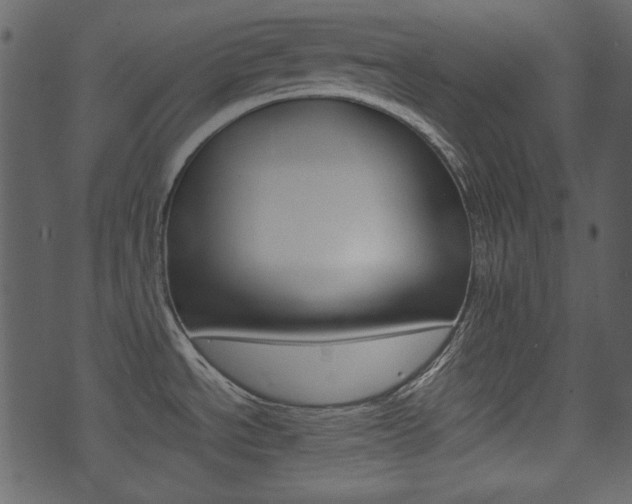 X0000074291534200608250914