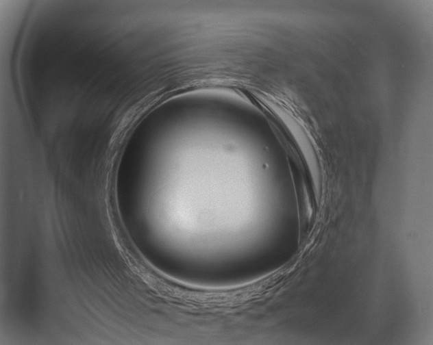 X0000074290001200608251356