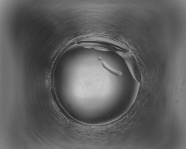 X0000074290002200608251356