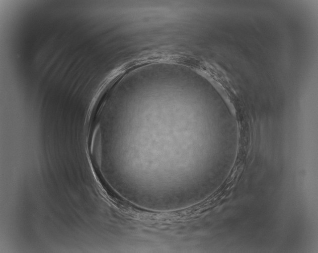 X0000074290003200608251356