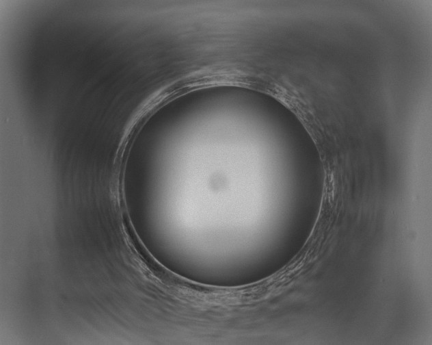 X0000074290004200608251356