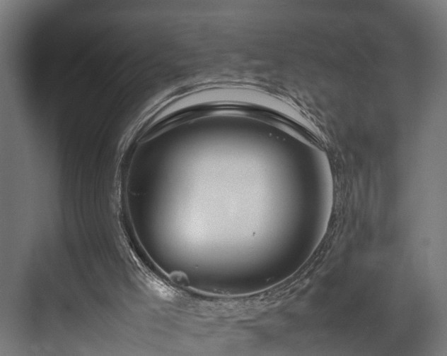 X0000074290005200608251356