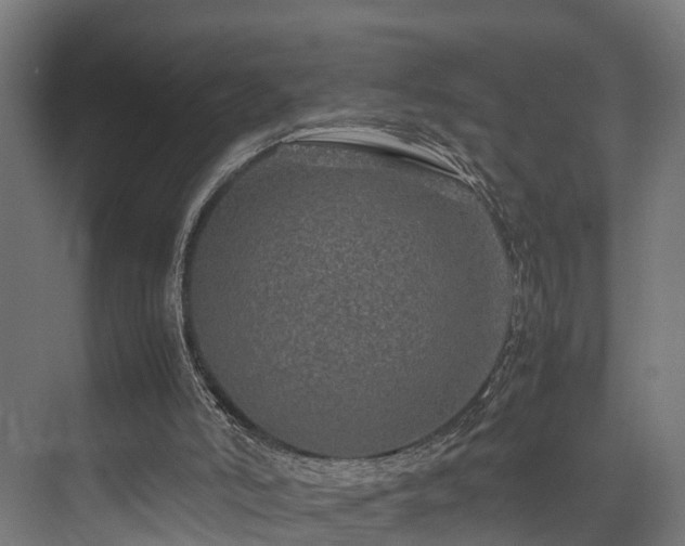 X0000074290006200608251356