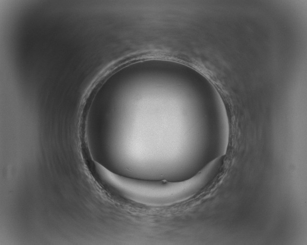 X0000074290007200608251356