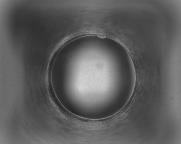 X0000074290008200608251356