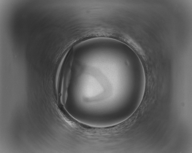 X0000074290009200608251356