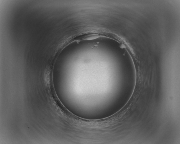 X0000074290010200608251356