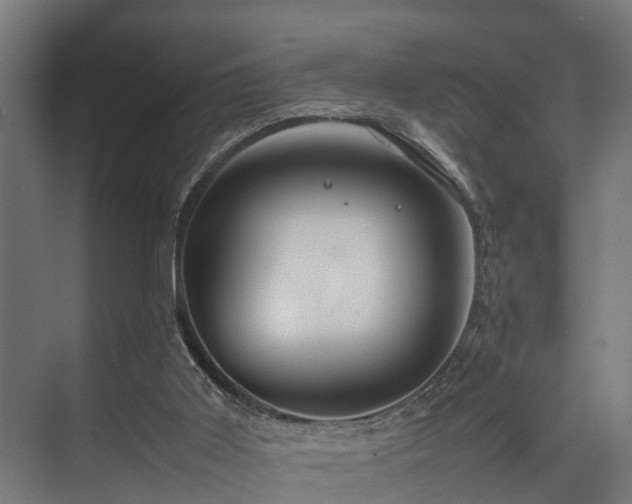 X0000074290011200608251356