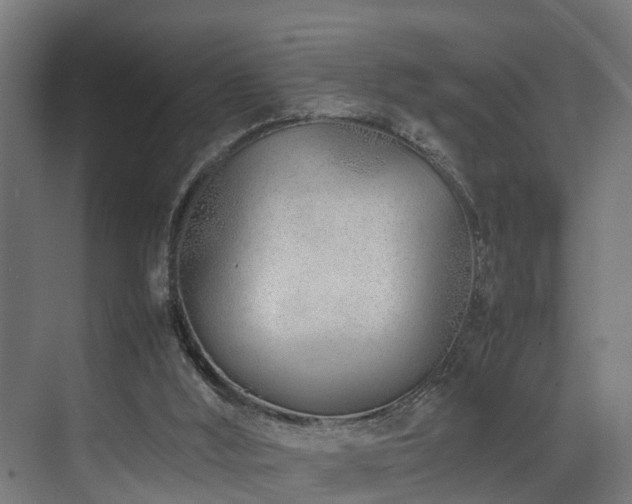 X0000074290012200608251356