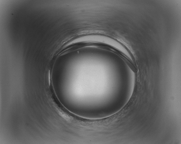 X0000074290013200608251356