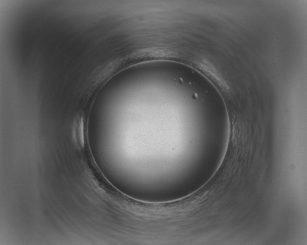 X0000074290014200608251356