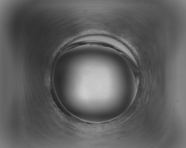 X0000074290015200608251356