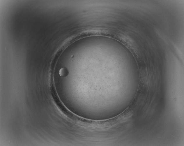 X0000074290016200608251356