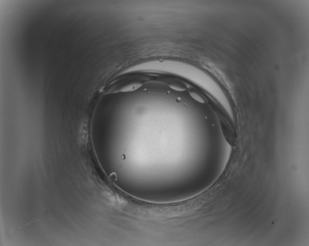 X0000074290017200608251356