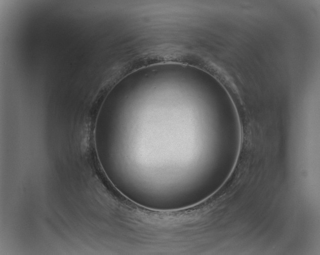 X0000074290018200608251356