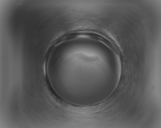 X0000074290019200608251356