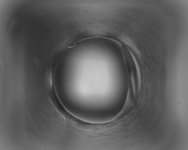 X0000074290021200608251356