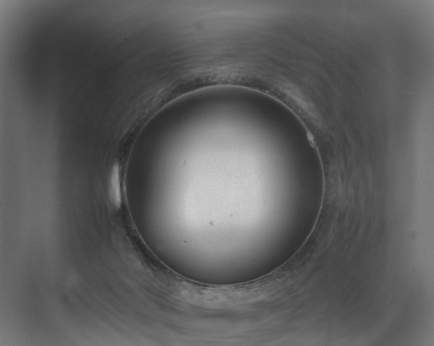 X0000074290022200608251356