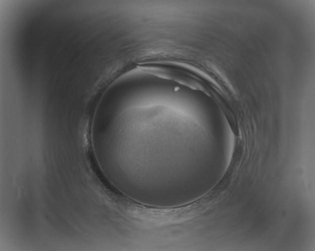 X0000074290023200608251356