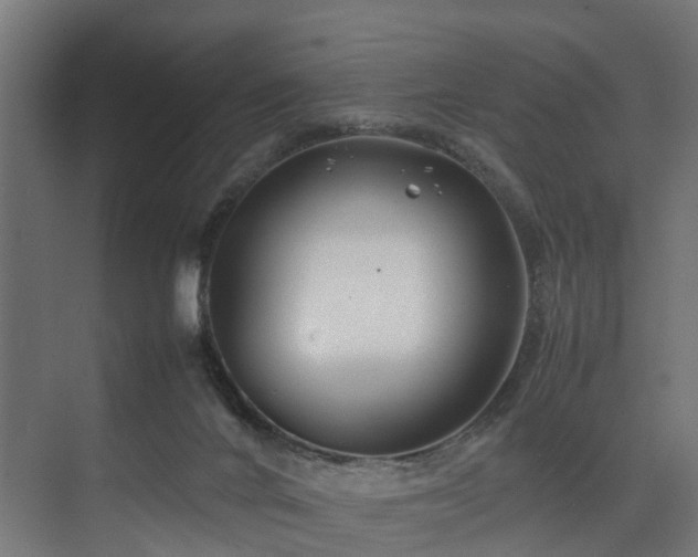 X0000074290024200608251356