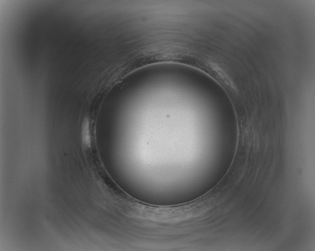 X0000074290026200608251356