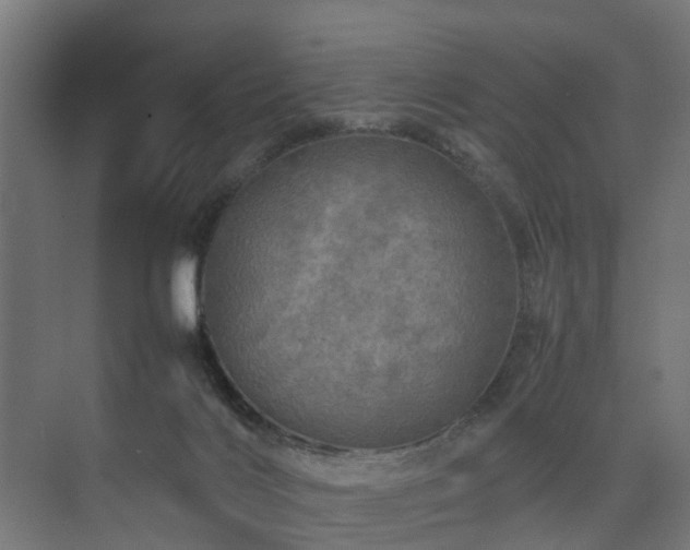 X0000074290028200608251356