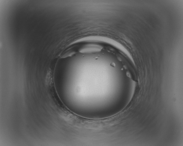 X0000074290029200608251356