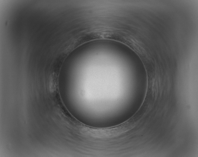 X0000074290030200608251356