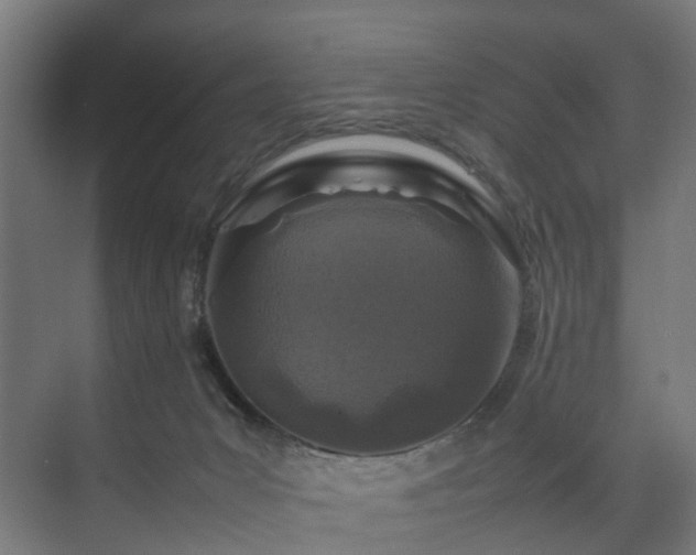 X0000074290031200608251356