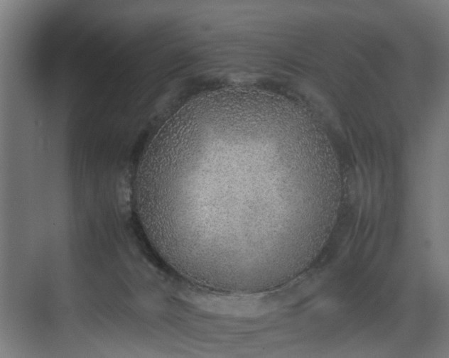 X0000074290032200608251356