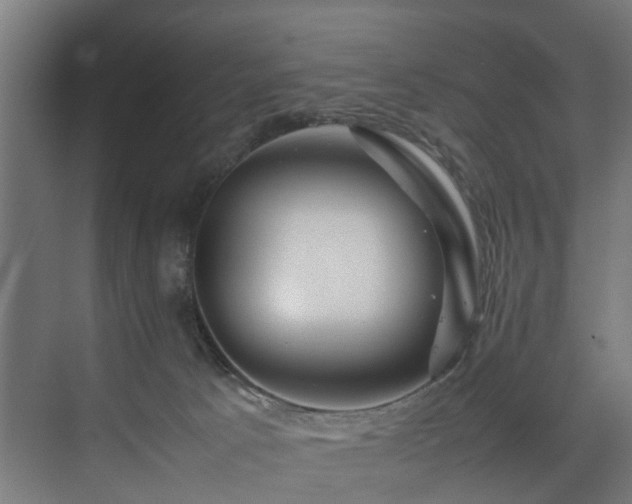 X0000074290033200608251356