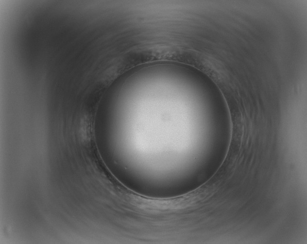 X0000074290034200608251356