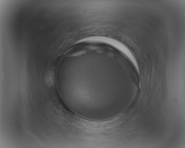 X0000074290035200608251356